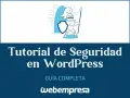 Ilustración de un caballero protegiendo un sitio web. Tutorial para securizar WordPress y mantenerlo seguro.