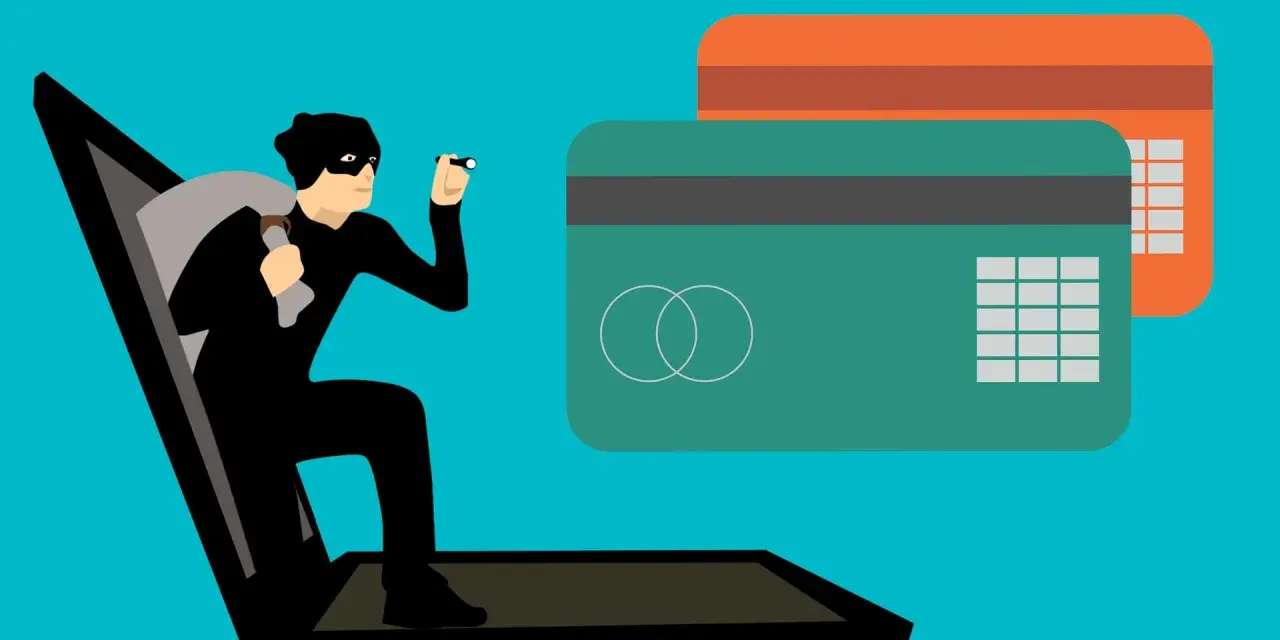Ladrón sale de portátil con saco y linterna, cerca de tarjetas de crédito. Aprende como saber si una tienda online es falsa.