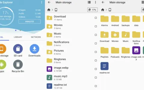 Explora carpetas como "Descargas", "Música" y "Fotos" en tu almacenamiento principal. Busca aplicaciones ocultas y gestiona tus archivos.