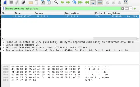 Captura de paquetes en Wireshark. Muestra un paquete TCP con información de origen y destino, útil para un wireshark tutorial.