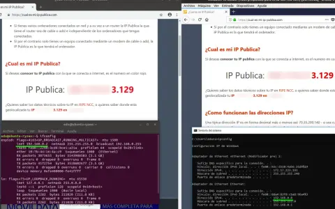 Ventanas y terminales muestran la IP pública 3.129, resultado de una consulta en un ordenador.
