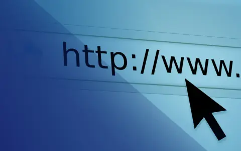Cursor sobre barra de direcciones web, listo para analizar enlaces.