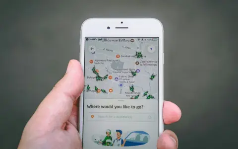 Una mano sostiene un teléfono mostrando una aplicación de localización móvil con un mapa lleno de iconos de insectos verdes y varios puntos de interés.