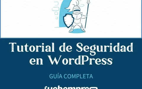 Ilustración de un caballero protegiendo un sitio web. Tutorial para securizar WordPress y mantenerlo seguro.