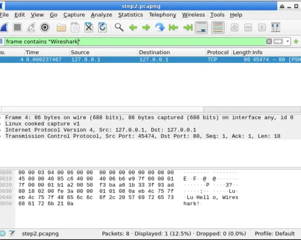 Captura de paquetes en Wireshark. Muestra un paquete TCP con información de origen y destino, útil para un wireshark tutorial.