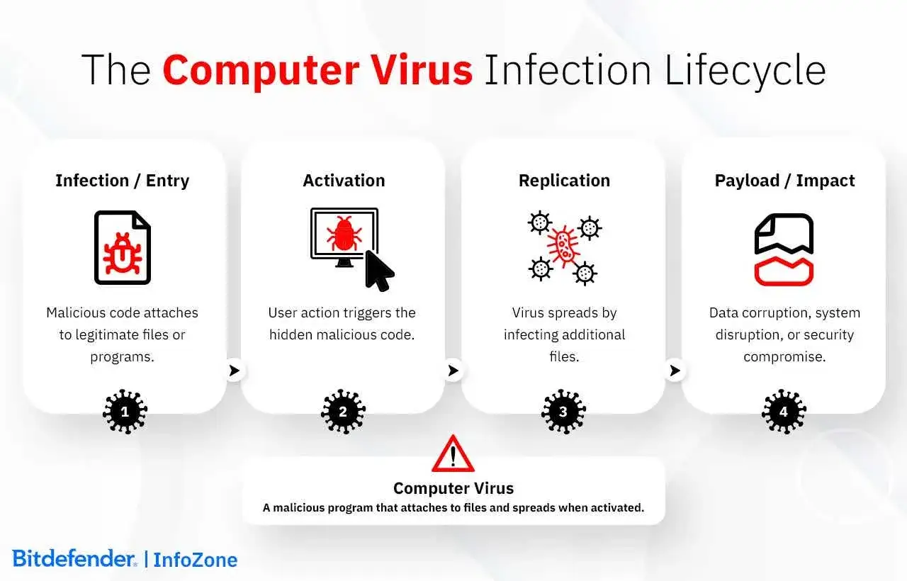 Ciclo de vida de un virus digital: infecci&oacute;n, activaci&oacute;n, replicaci&oacute;n y da&ntilde;o. Un programa malicioso que se propaga.